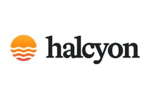halcon-logo-img18